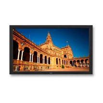 NEC MultiSync V422 42" FULL HD Monitor 