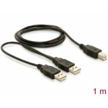DeLock USB 2.0-B > USB-A power + power/data cable