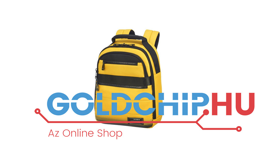 samsonite cityvibe 2.0 backpack